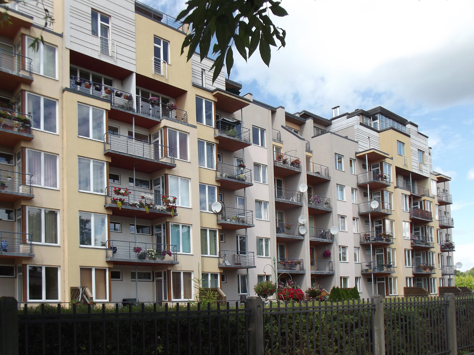 Jeglava